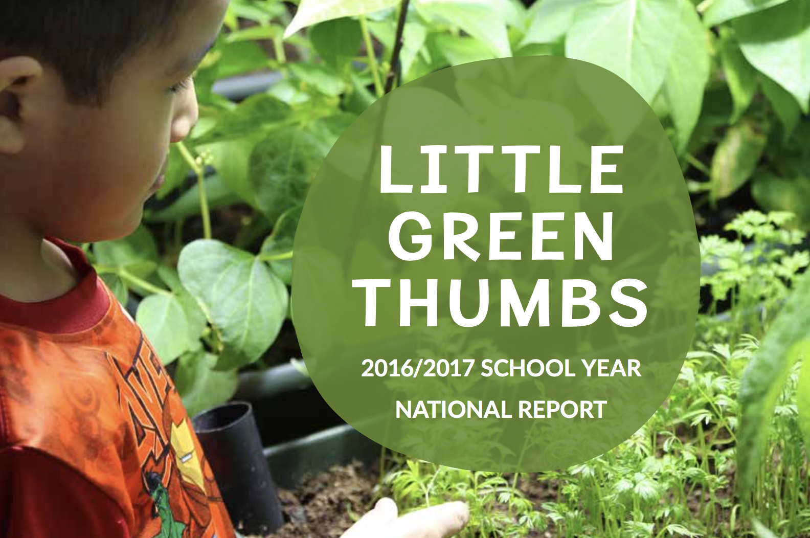 We’re Growing! 2016/2017 Little Green Thumbs School Report Now Live ...